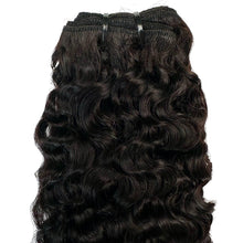Load image into Gallery viewer, Burmese Curly