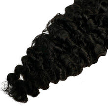 Load image into Gallery viewer, Burmese Curly
