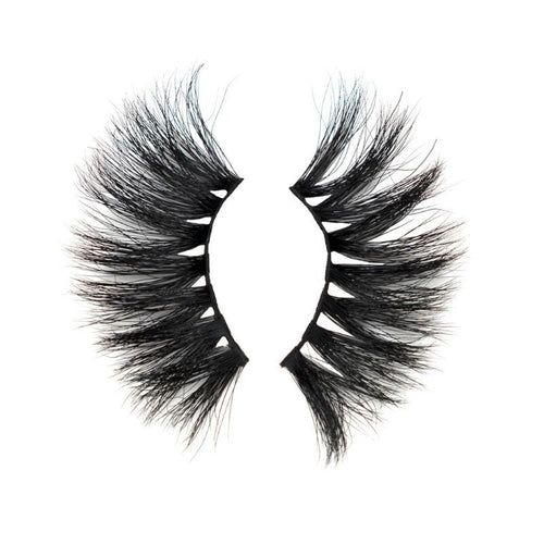 ARIES