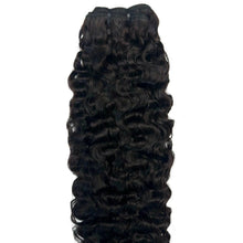 Load image into Gallery viewer, Burmese Curly
