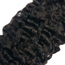 Load image into Gallery viewer, Burmese Curly
